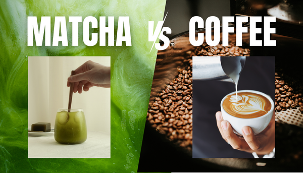 Matcha vs. Coffee